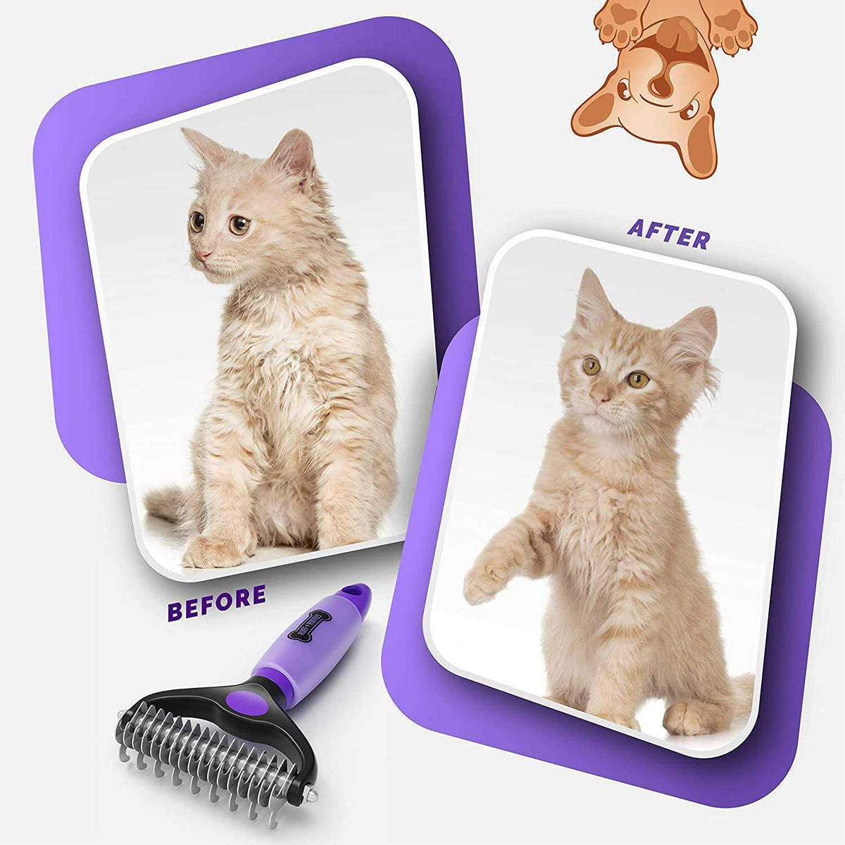 Grooming Kit for Cats and Dogs H3591