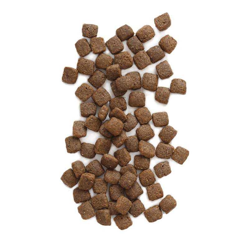 Grain Free Dog Food F1361