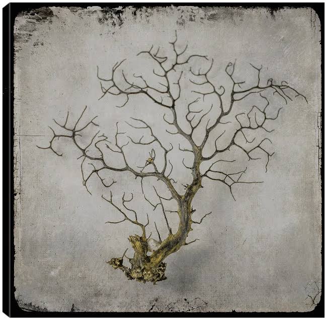 Canvas Art I909723