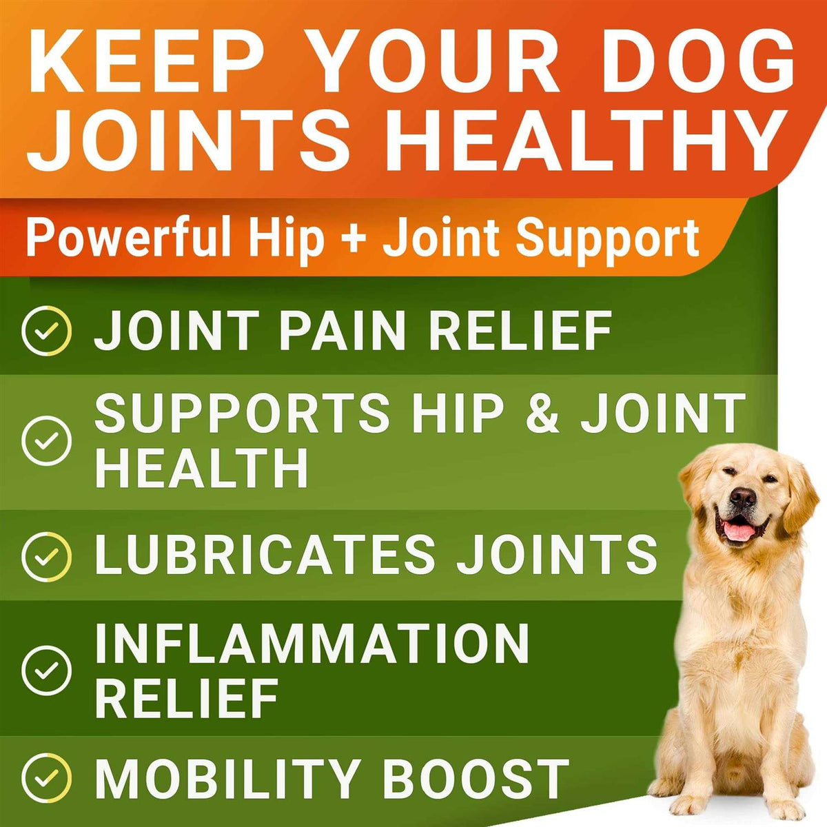 Glucosamine Chews for Dogs and Cats L2115