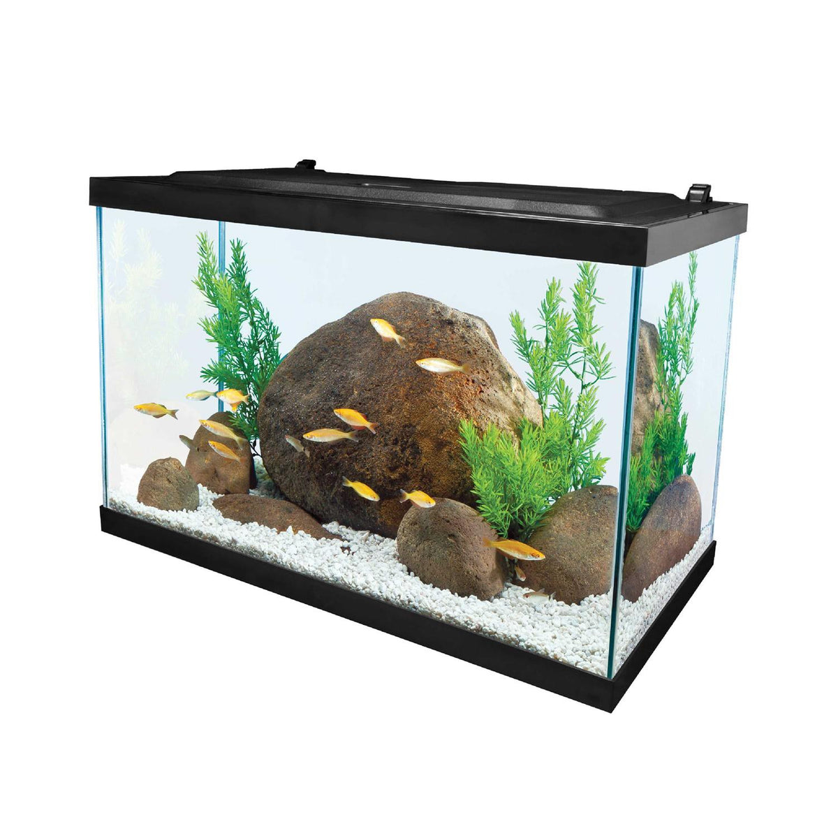 20 Gallon Glass LED Aquarium Kit B13154