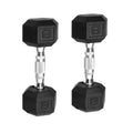 10lb Coated Rubber Hex Dumbbell Pair M551355