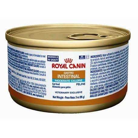 Cat Canned Food U631295