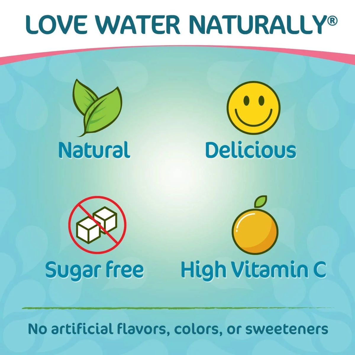 Coconut Pineapple Liquid Water Enhancer Drink Mix 1.62 fl oz (10 Pack) D99264
