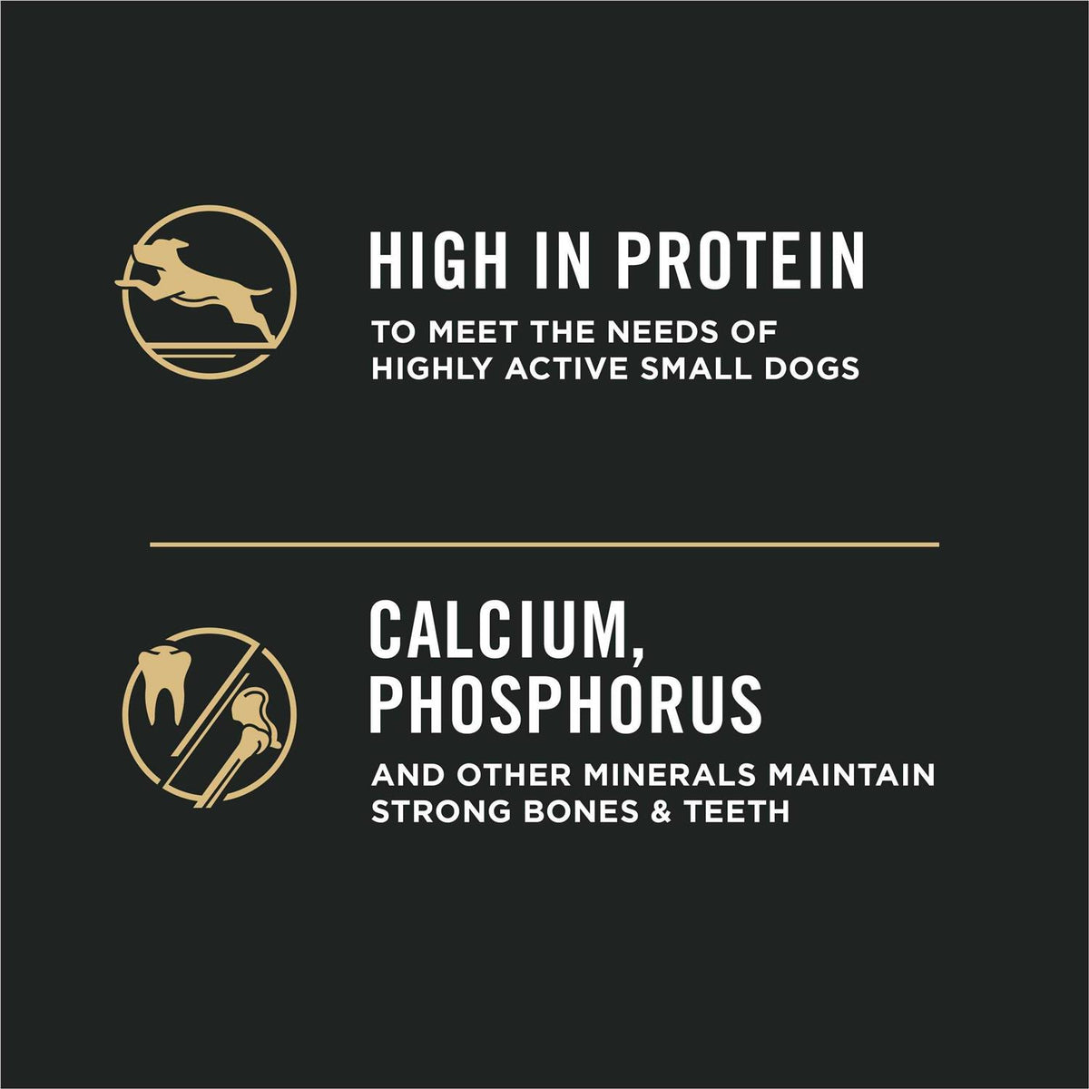 High Protein Shredded Blend Beef & Rice Formula Small Breed Dry Dog Food O531270