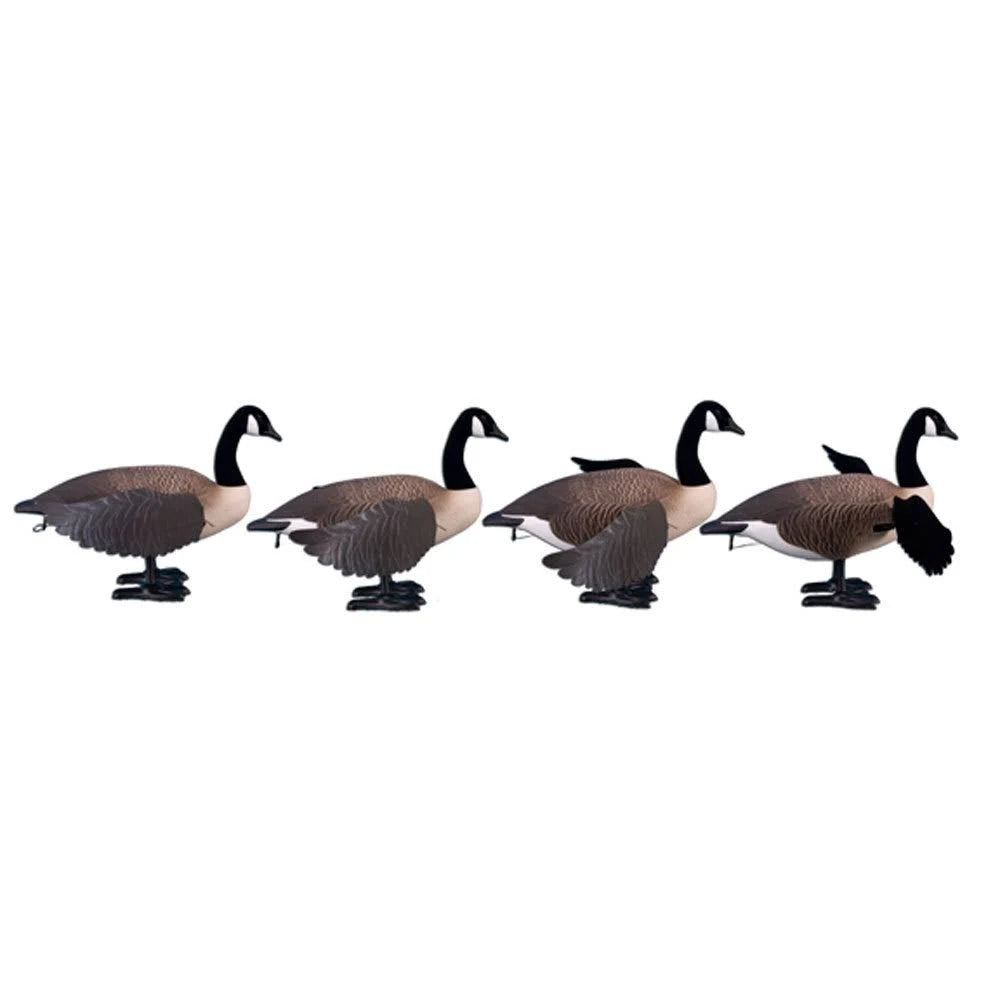 Full Body Canada Goose Decoy B72175