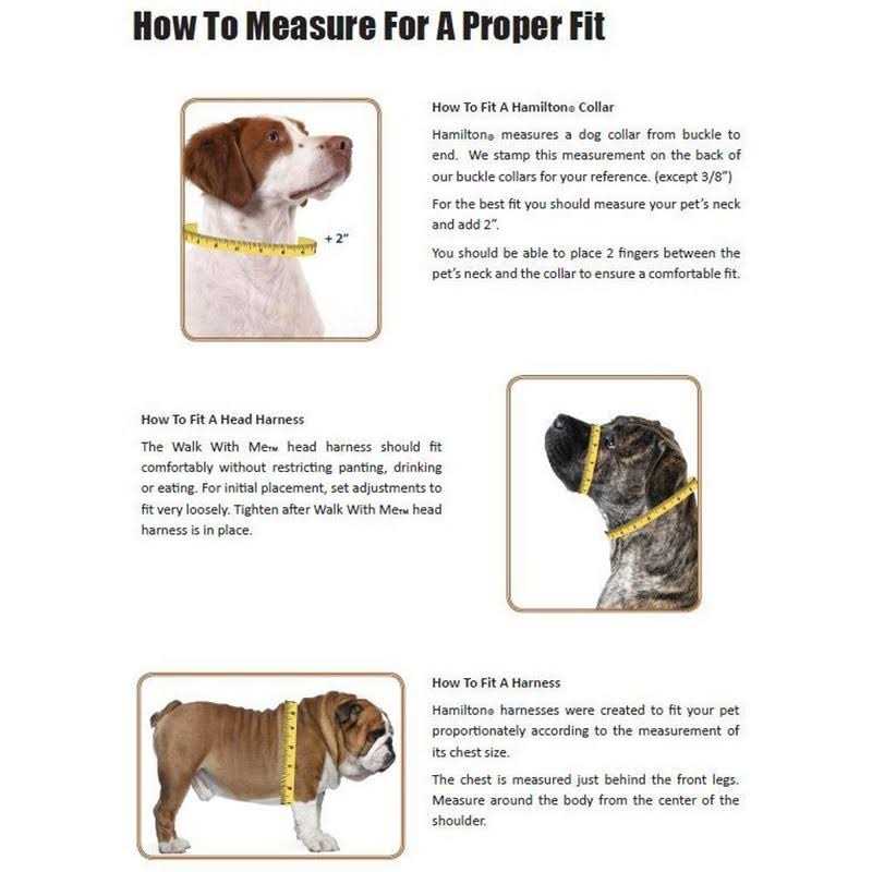 Adjustable Dog Collar Z817
