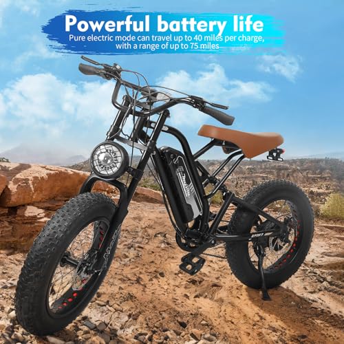 20" Fat Tire Electric Bike with Hydraulic Suspension Z107313