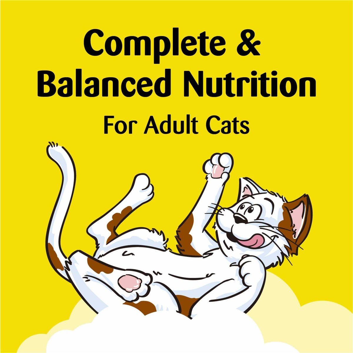 Cat Treats M901953