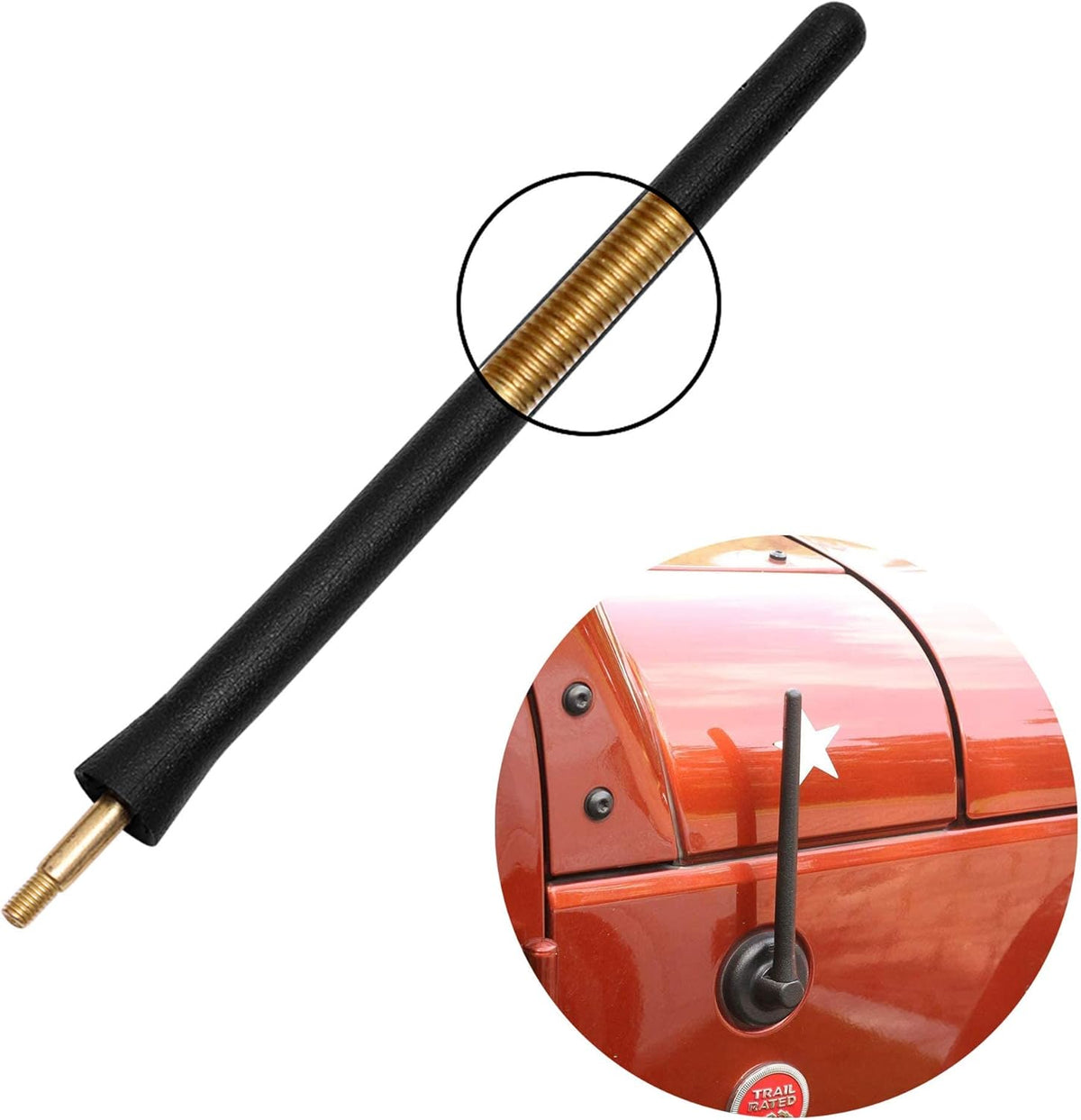 Antenna for AM FM Radio T2011