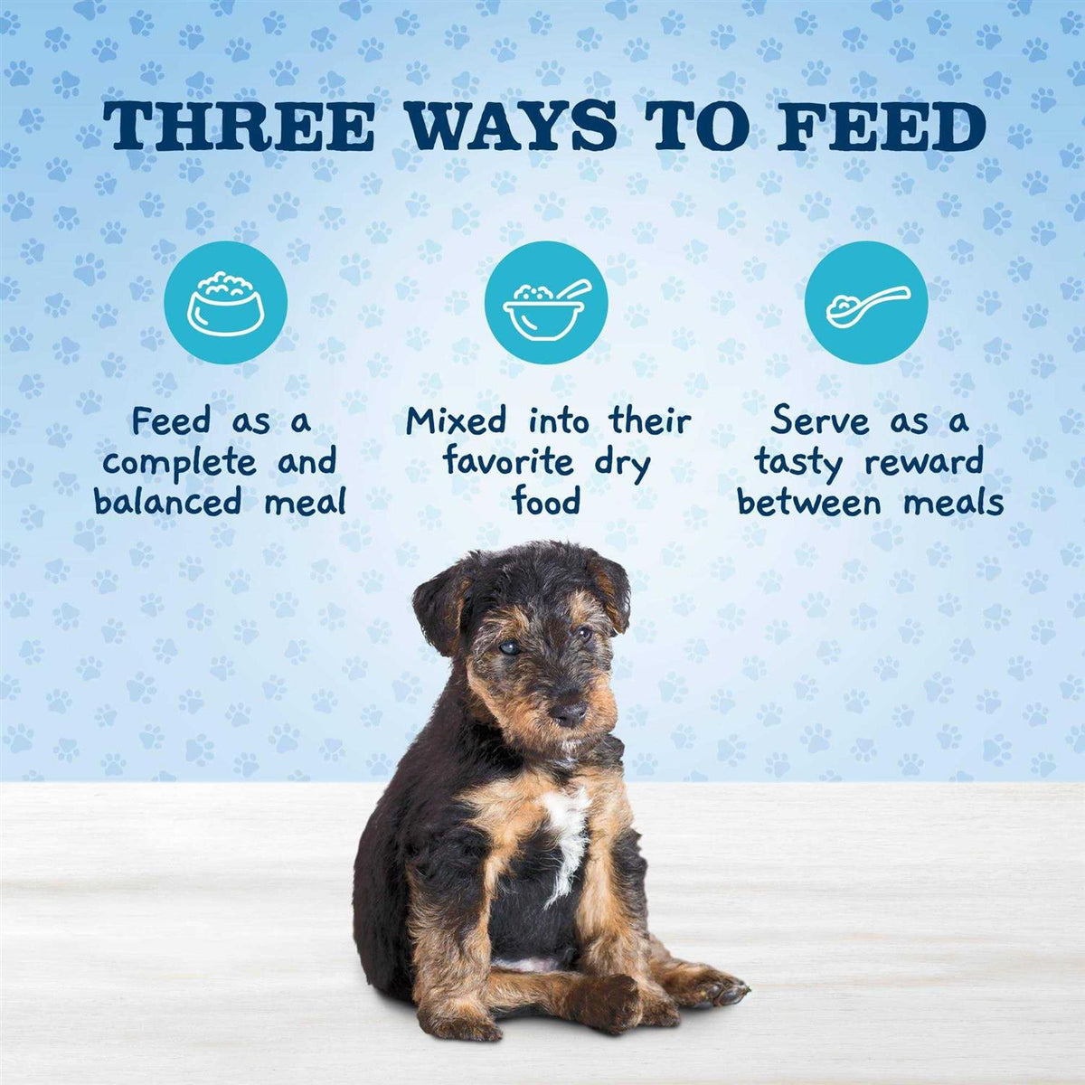 Chicken Lamb & Vegetable Recipe Variety Pack Puppy Wet Food C924027