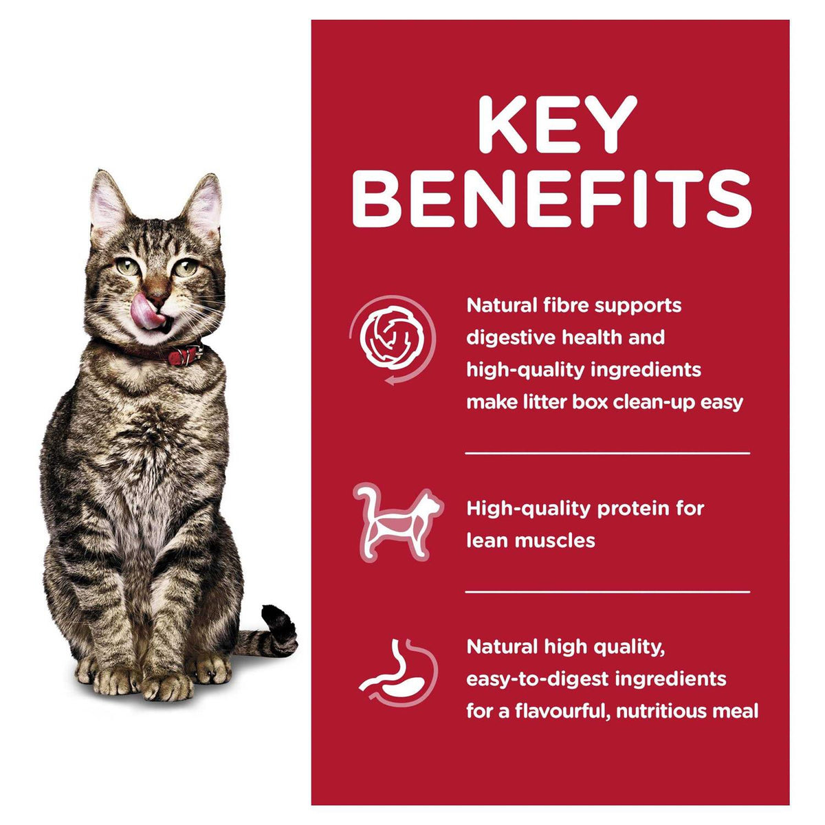 Adult 7+ Indoor Dry Cat Food O26252