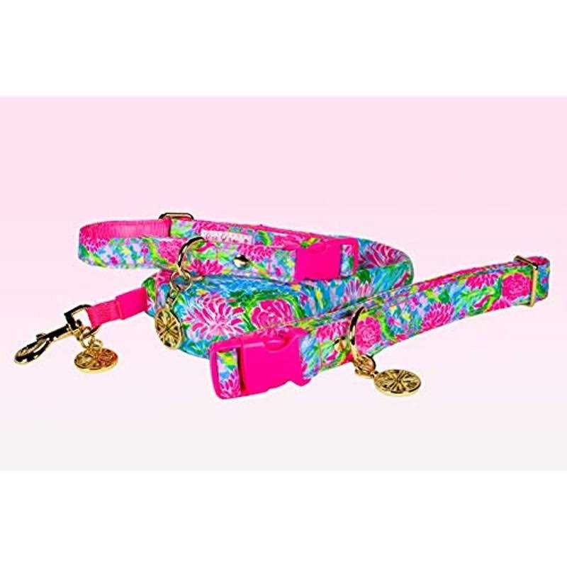 Dog Leash Y6595