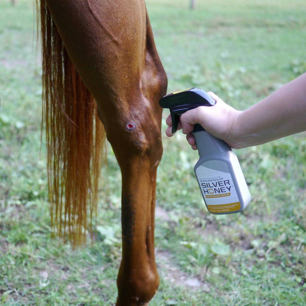 Hot Spot & Wound Care Spray Gel C783917