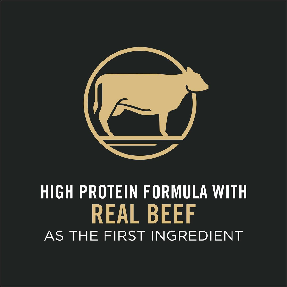 High Protein Shredded Blend Beef & Rice Formula Small Breed Dry Dog Food O531270