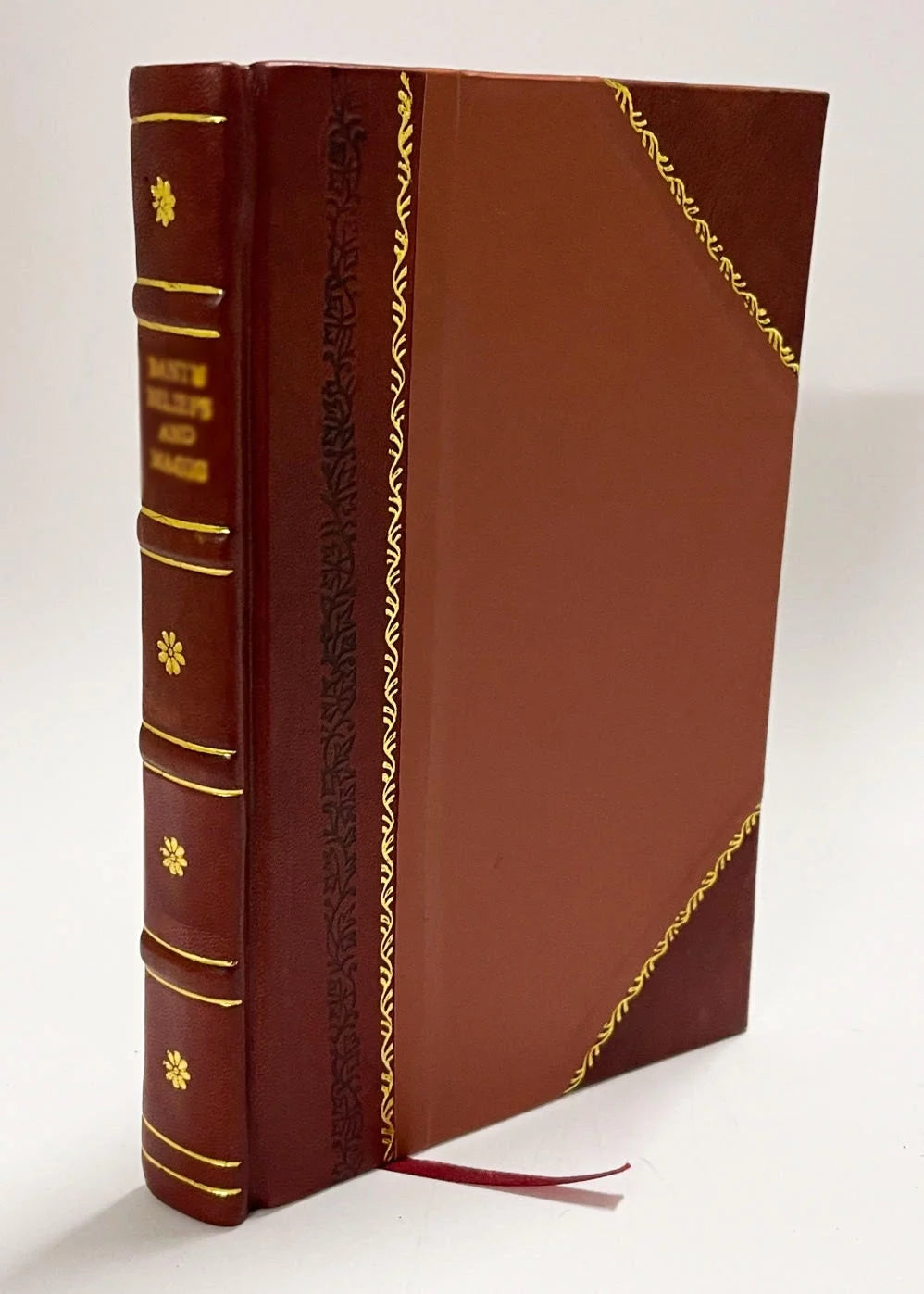 Genealogy Book B8221