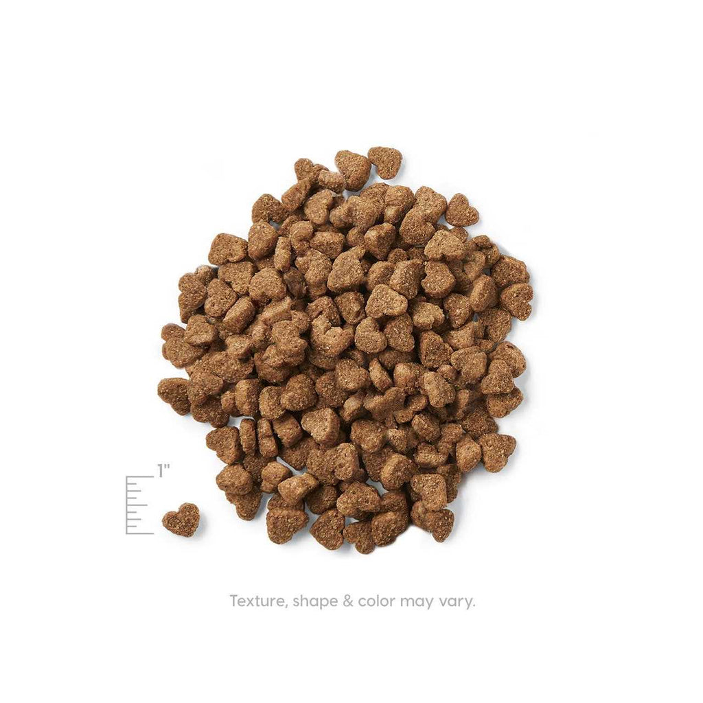 Grain Free Dry Puppy Food Q6238