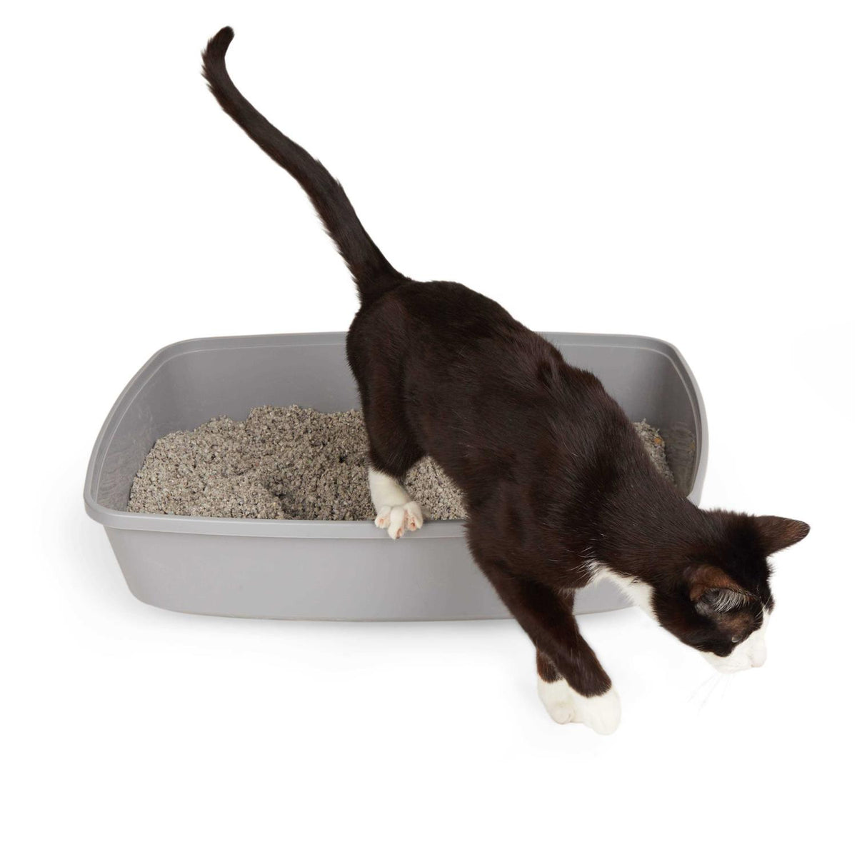 Open Cat Litter Box U294
