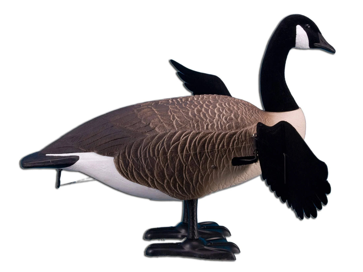 Full Body Canada Goose Decoy B72175