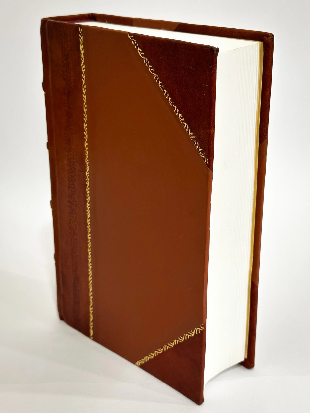 Genealogy Book B8221