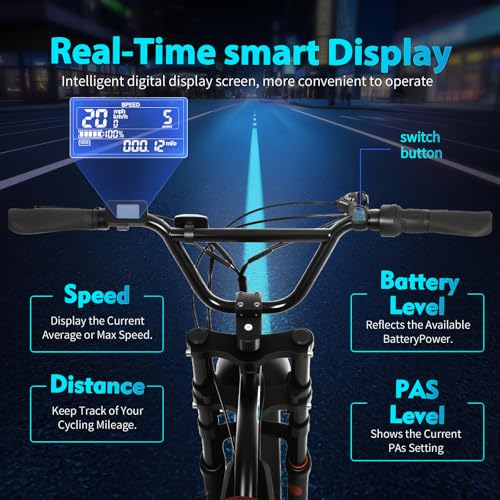 20" Fat Tire Electric Bike with Hydraulic Suspension Z107313