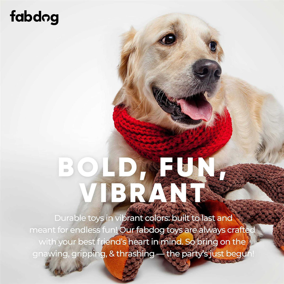 Dog Floppy Toy B626