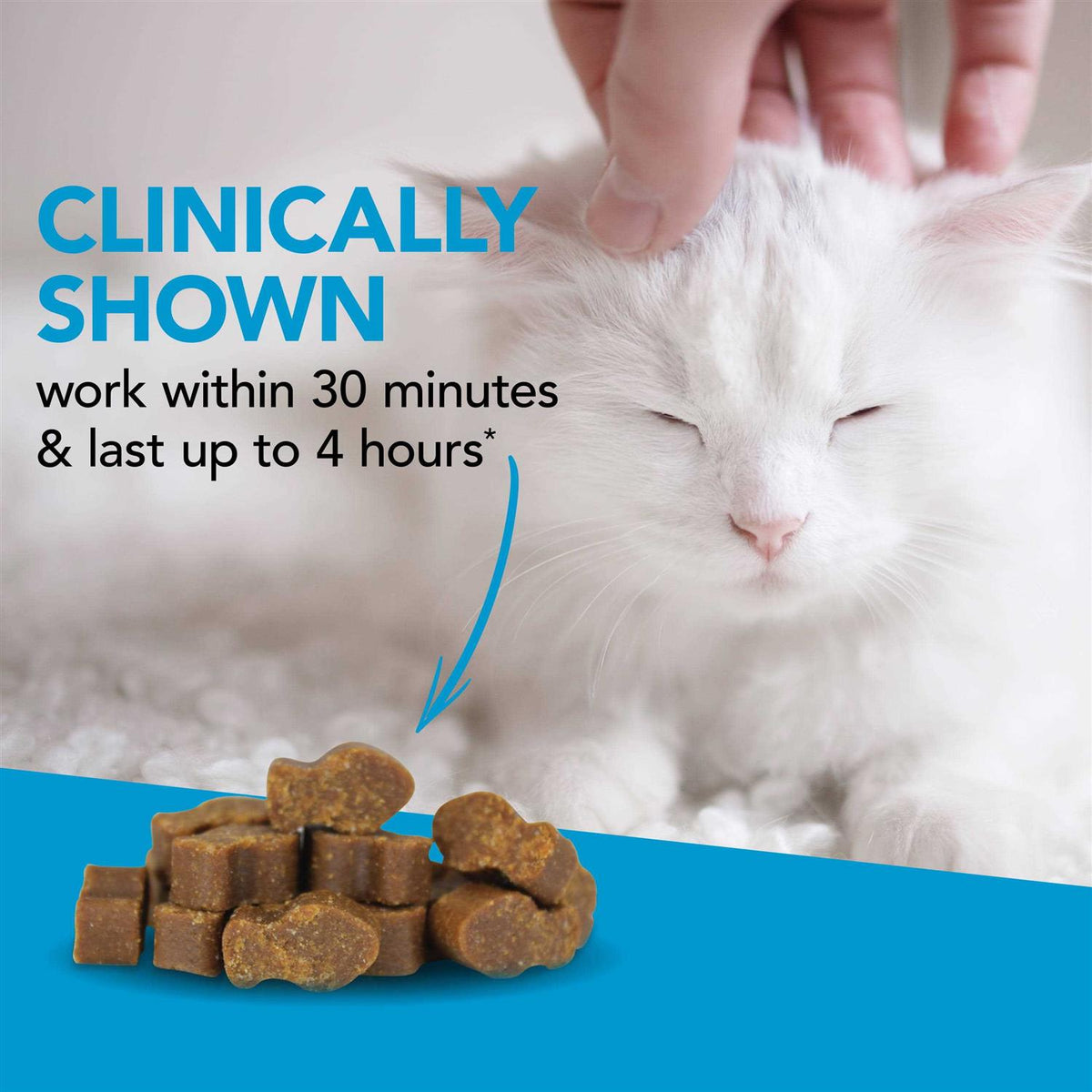 Cat Supplies T337814