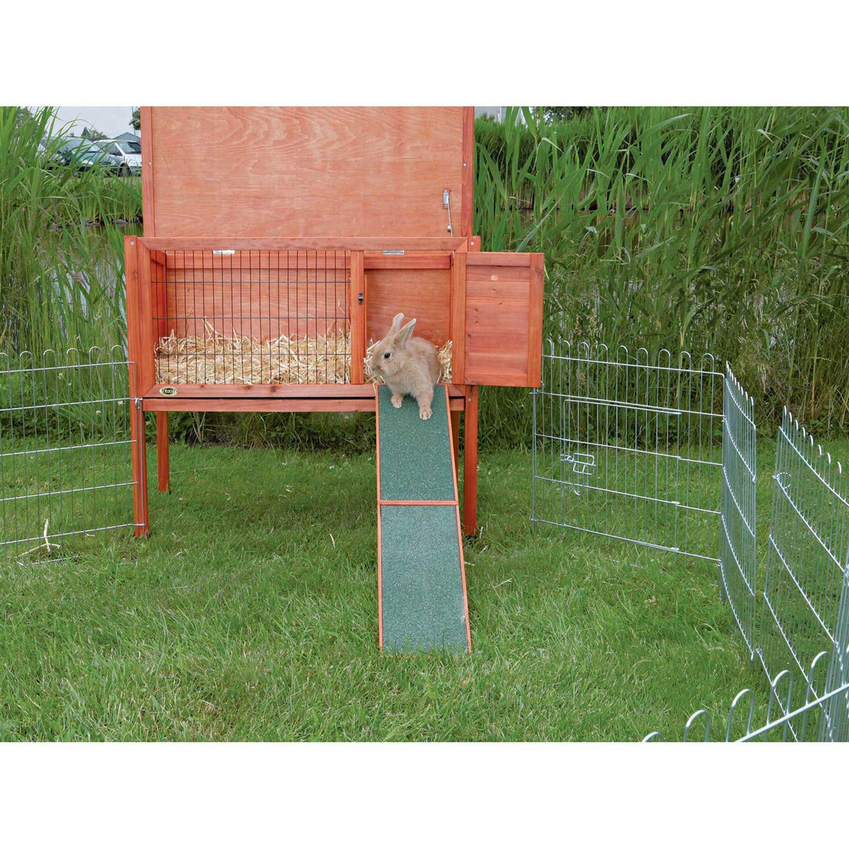 Wooden Rabbit Ramp C375