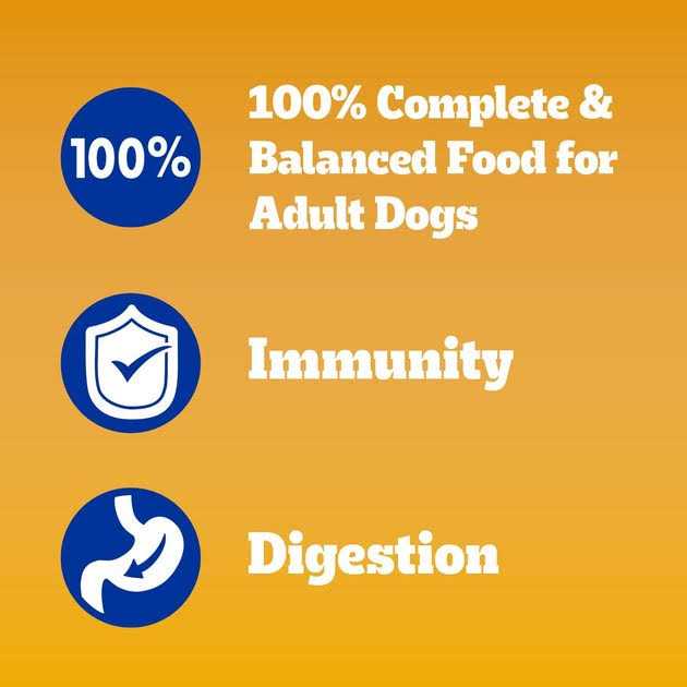 Chicken Adult Dry Dog Food Y1782