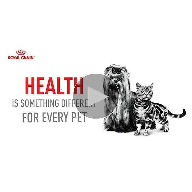 Adult Feline Health Nutrition Morsels in Gravy Cat Food Y4244