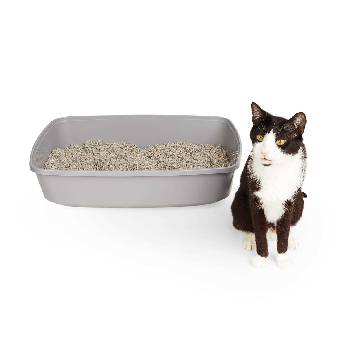 Open Cat Litter Box U294