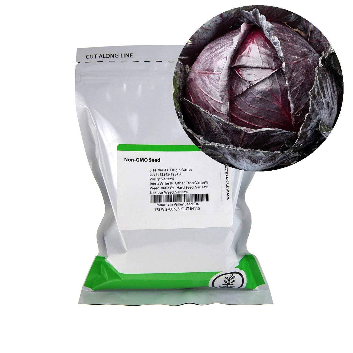 5 lb Bulk Heirloom Non-GMO Cabbage Seeds G7380