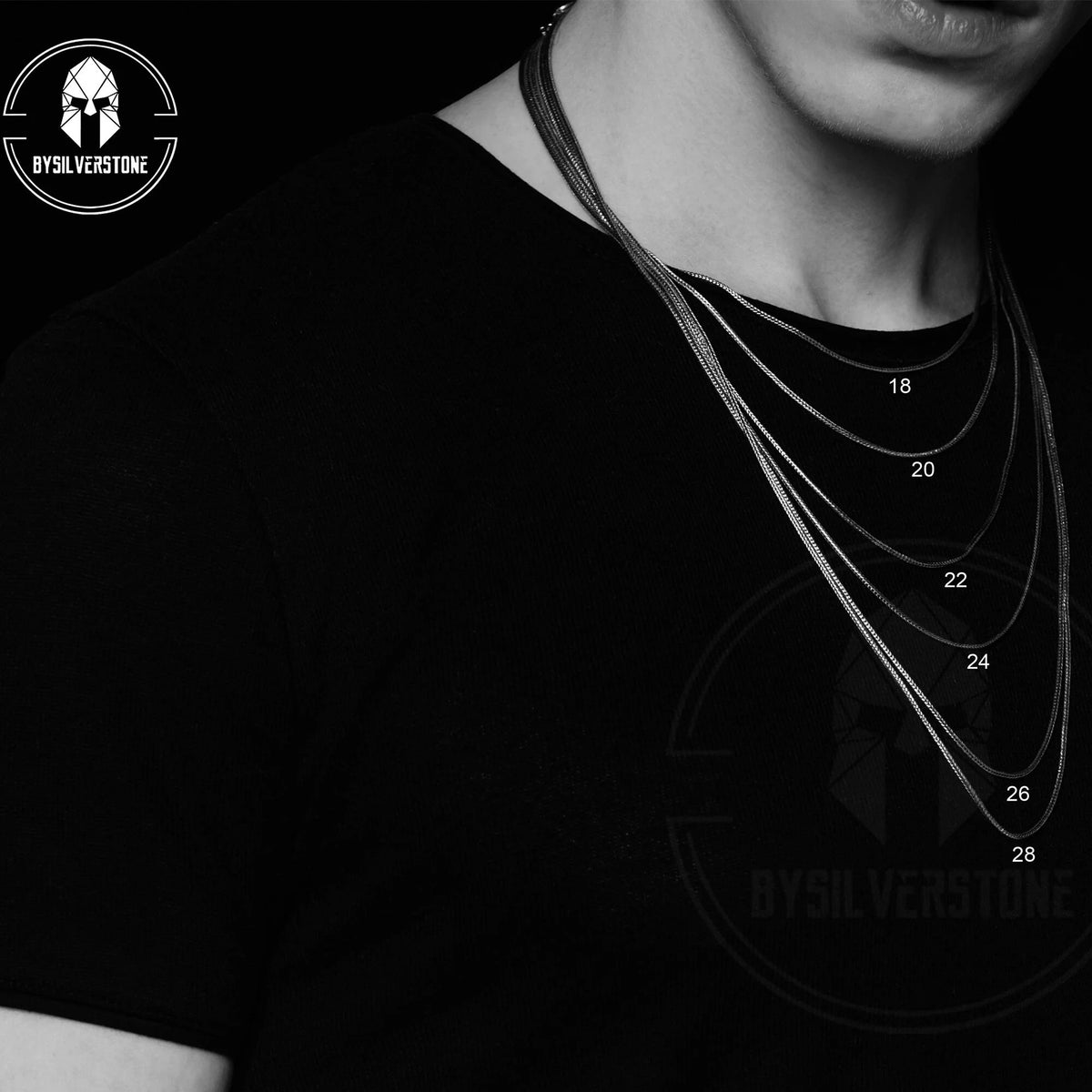 Silver Skull Zodiac Necklace C9770