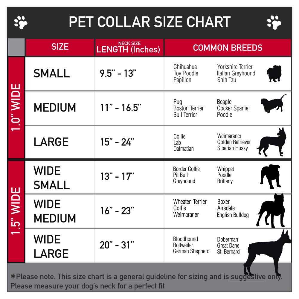 Dog Collar Seatbelt Buckle A423802