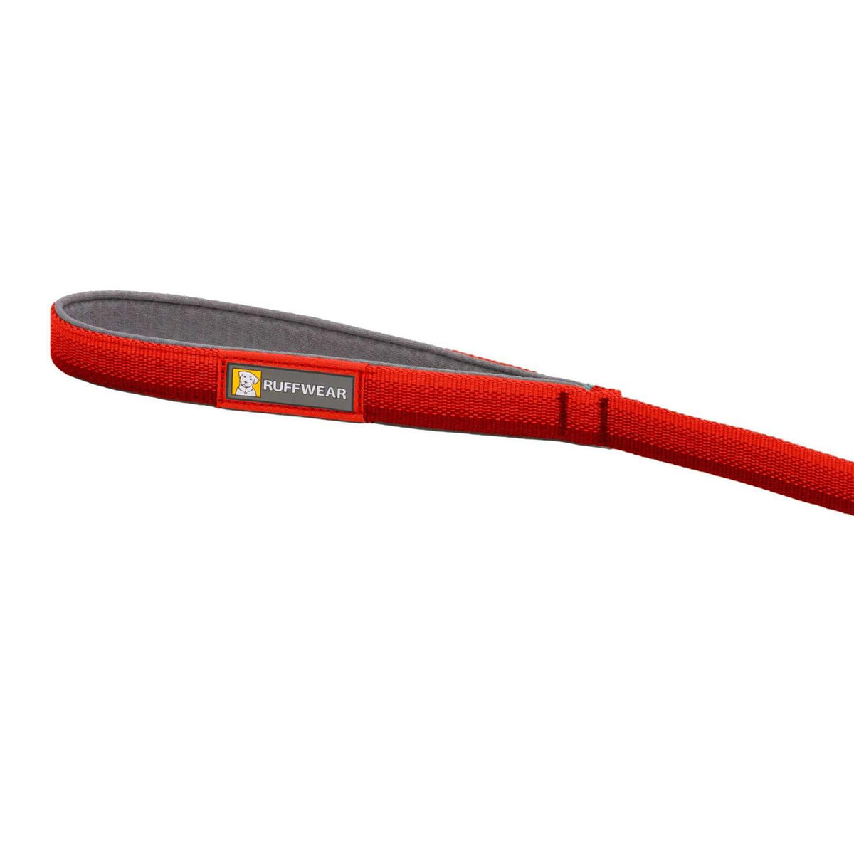 Leash U378613