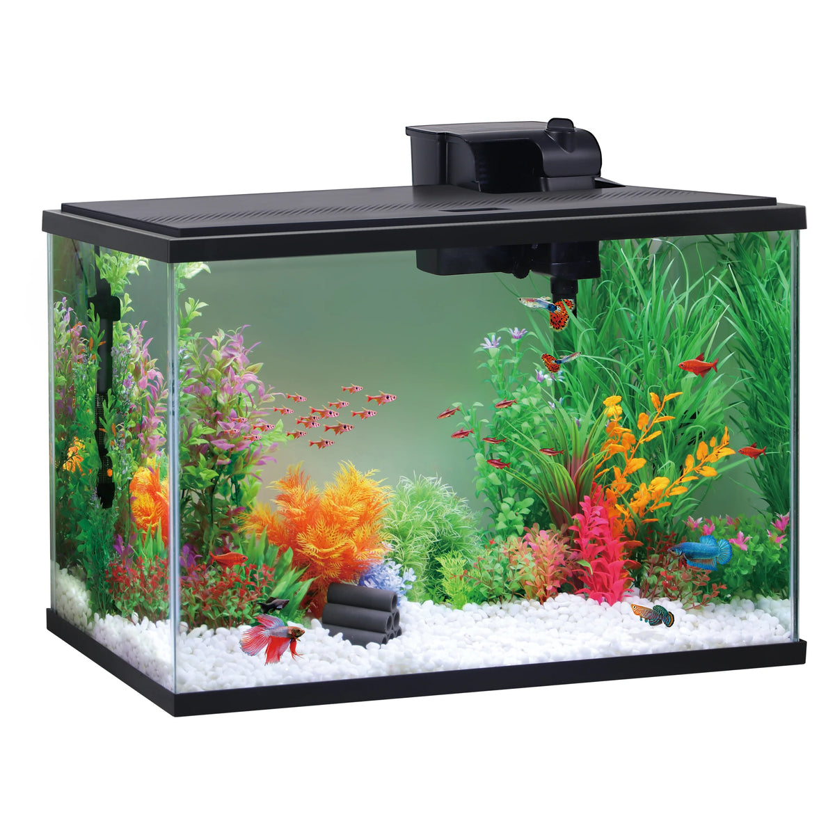 29 Gallon Glass Aquarium Starter Kit C2457