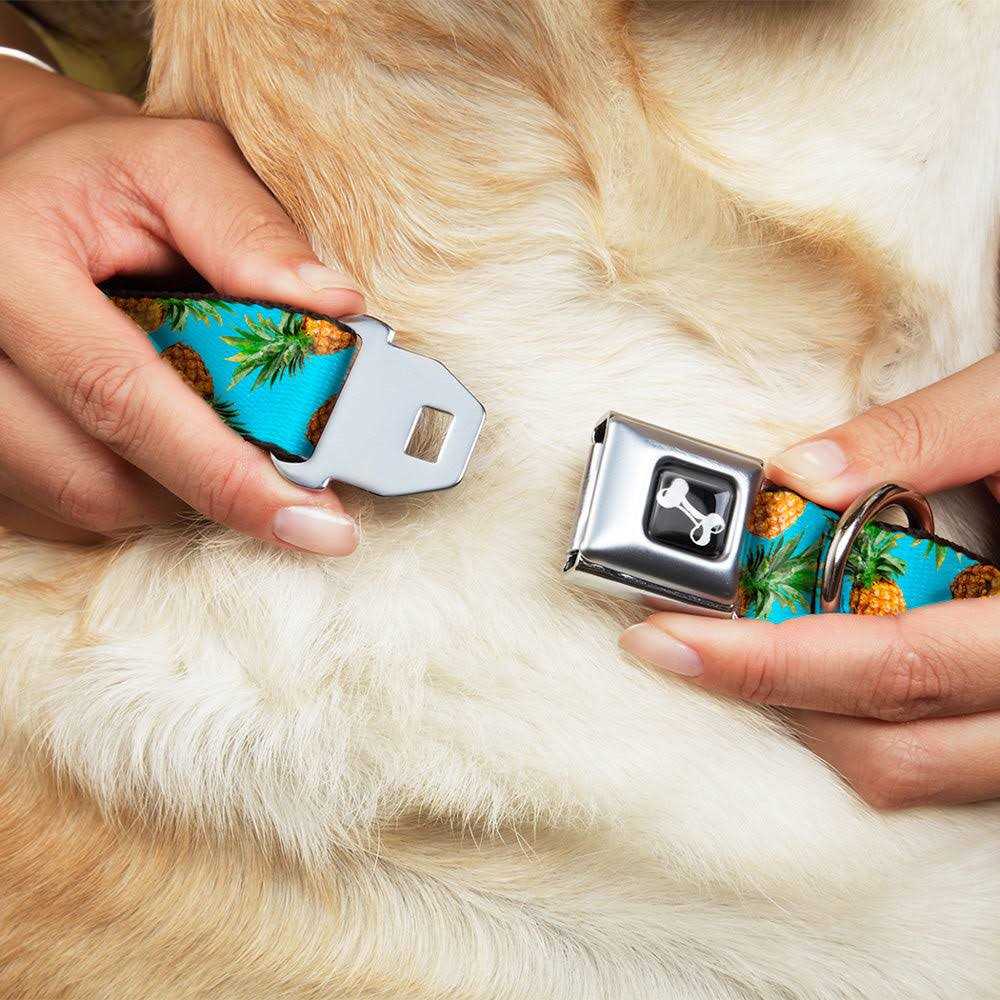 Dog Collar Seatbelt Buckle A423802