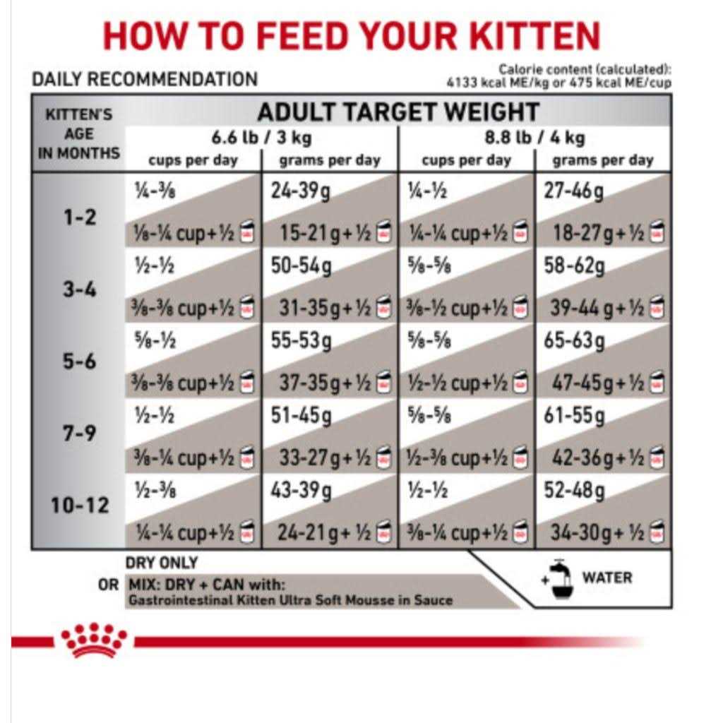 Veterinary Diet Feline Gastrointestinal Kitten Dry Cat Food N4155