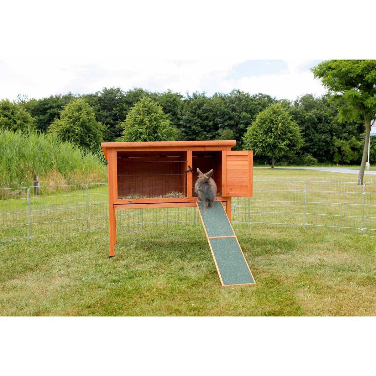Wooden Rabbit Ramp C375