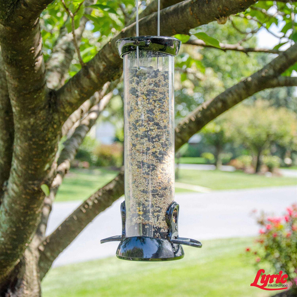 Wild Bird Mix O917