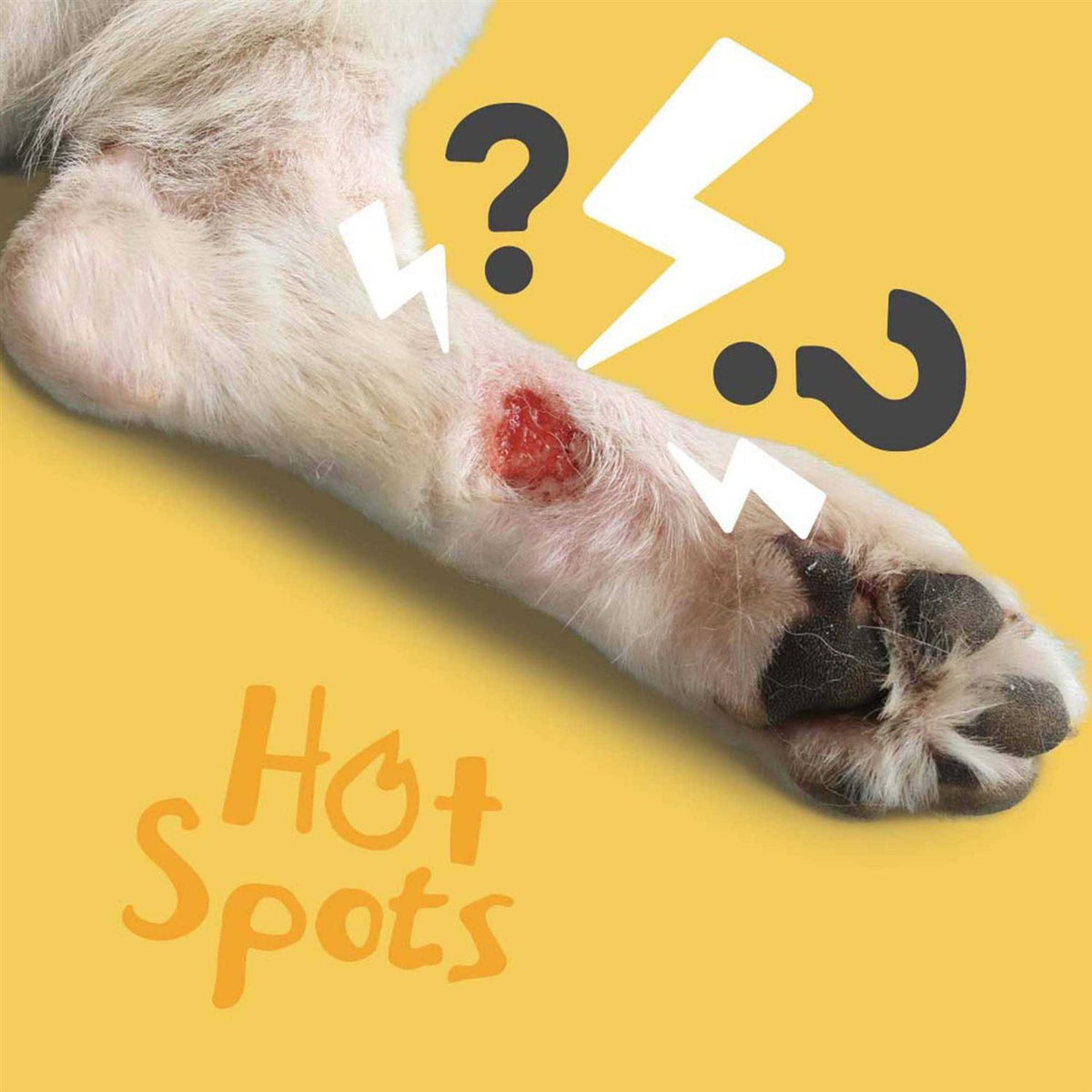 Hot Spot & Wound Care Spray Gel C783917