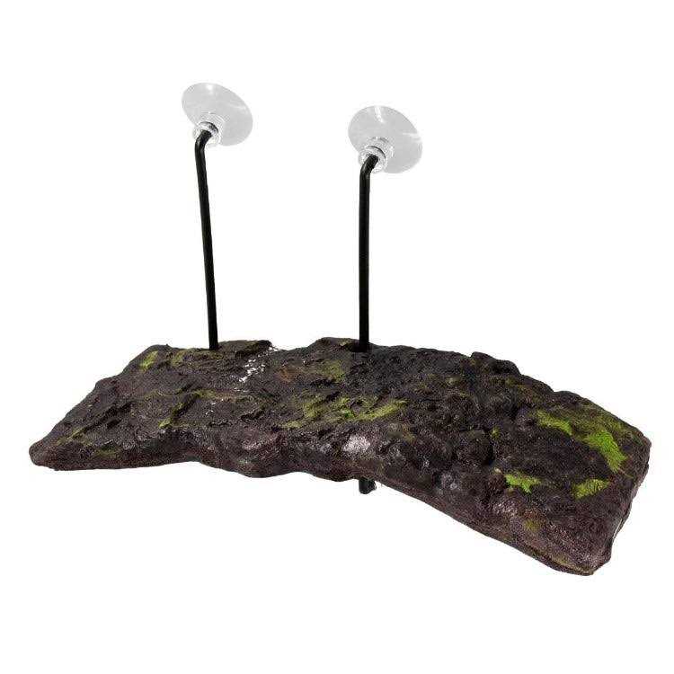 Turtle Dock Suction Cups D810
