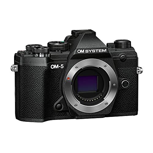 Black Mirrorless Camera R2061