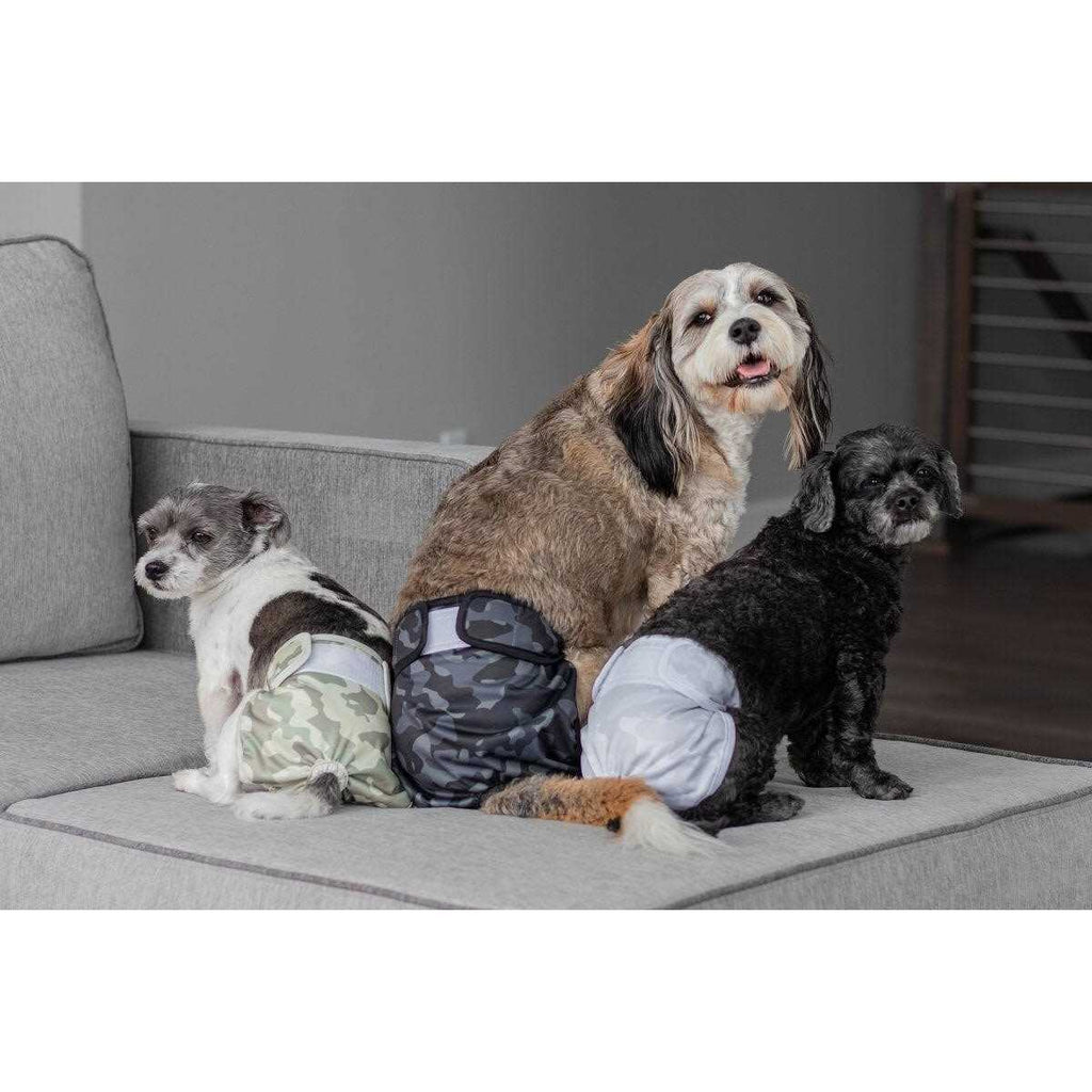 Washable Dog Diapers W44149