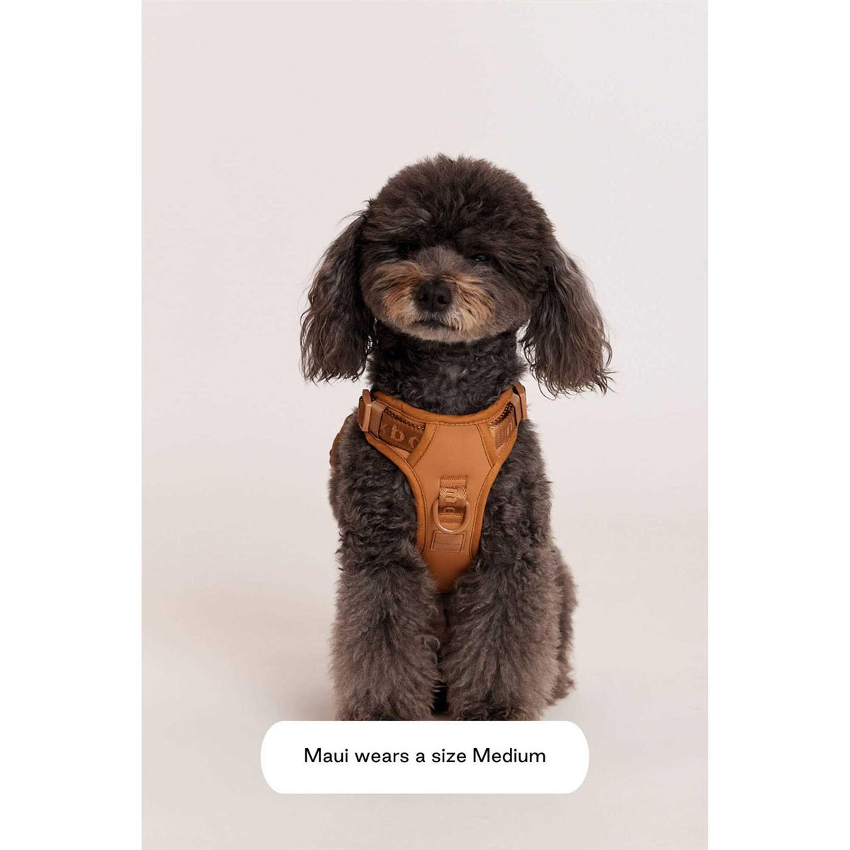 Easy Fit Harness N82050