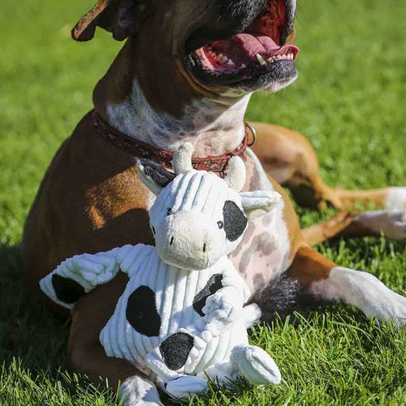 Ruff-Tex Dog Toy A20733