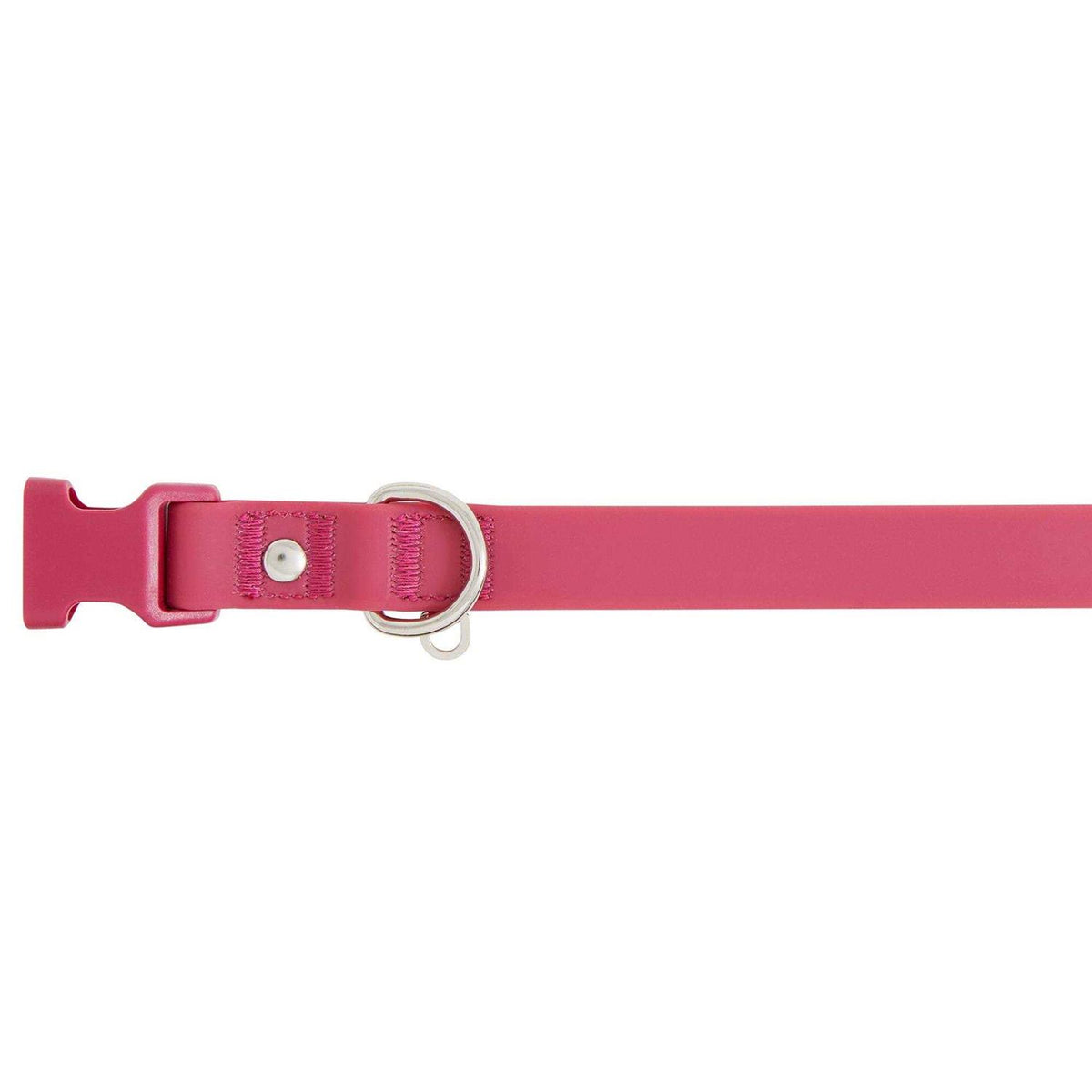 Dog Collar P258
