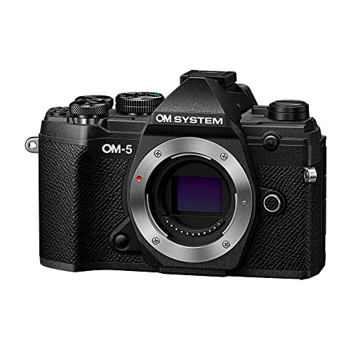 Black Mirrorless Camera R2061