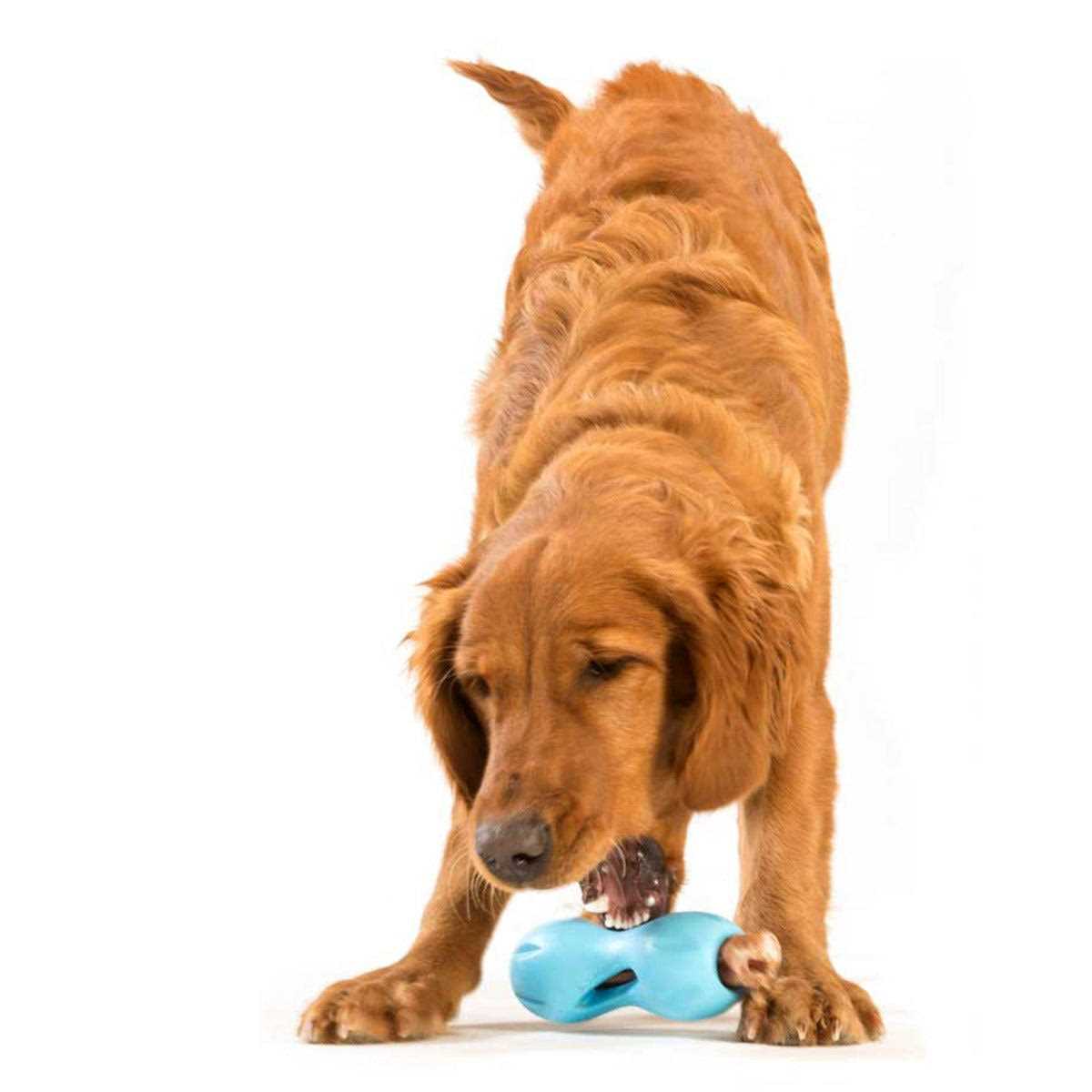 Dog Toy R462429