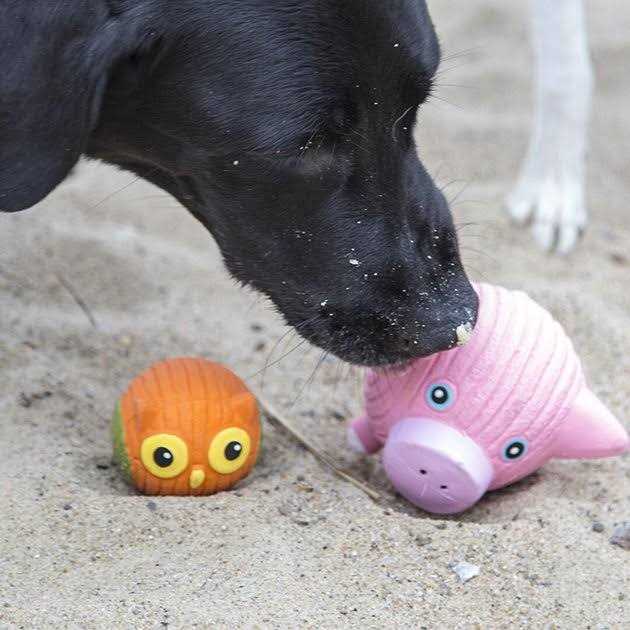 Ruff-Tex Dog Toy A20733